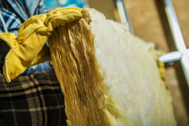 Best Insulation Replacement Services  in Zelienople, PA