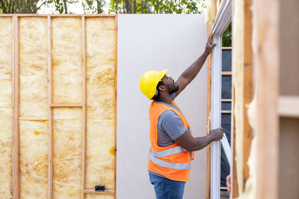 Best Insulation Removal  in Zelienople, PA