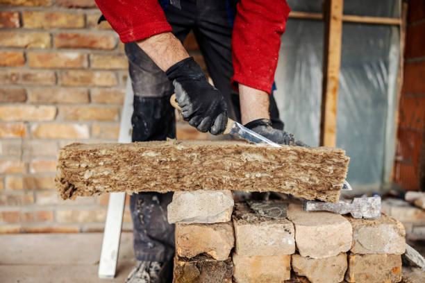 Best Insulation Contractors for Homes  in Zelienople, PA