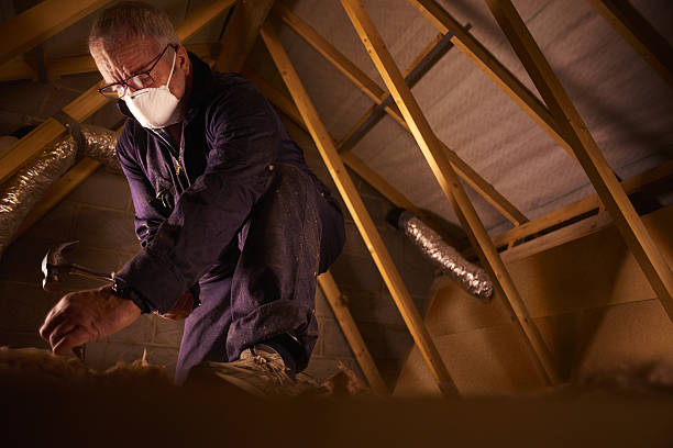 Best Attic Insulation Installation  in Zelienople, PA
