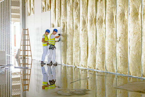 Best Garage Insulation Installation  in Zelienople, PA